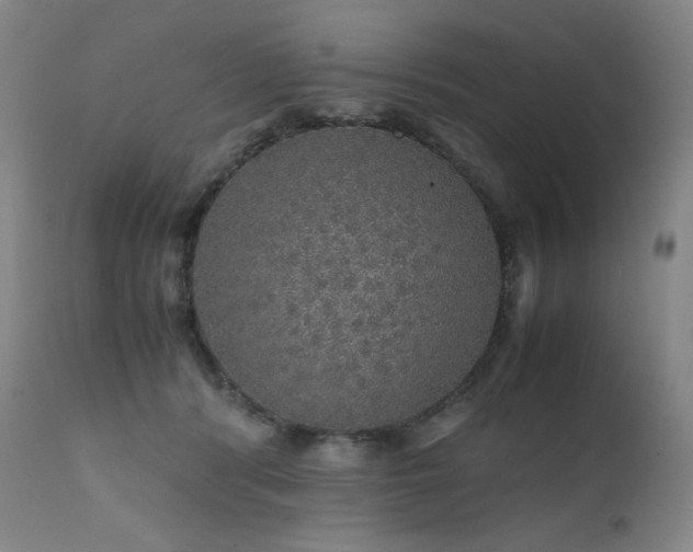 X0000111470416200907131523