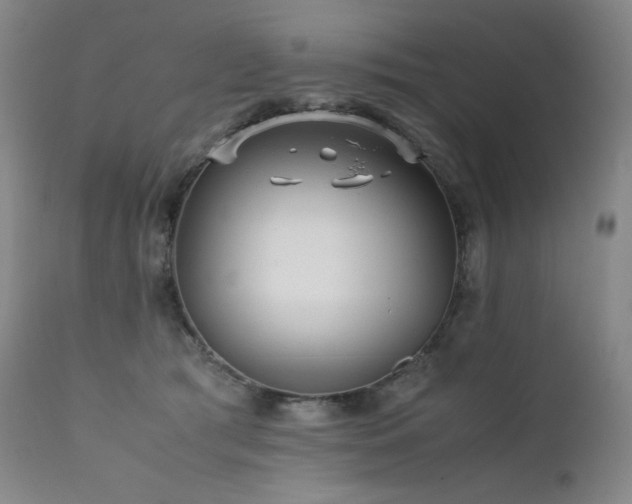 X0000111470417200907131523