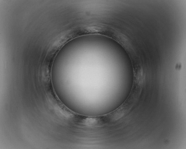 X0000111470418200907131523