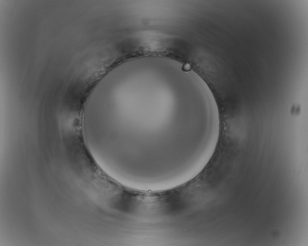 X0000111470419200907131523