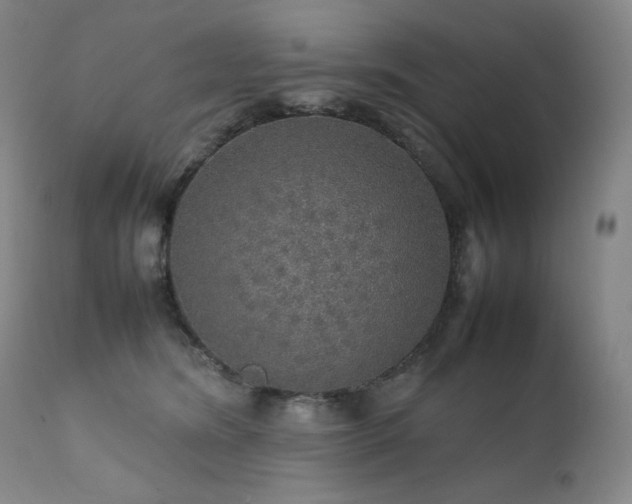 X0000111470420200907131523