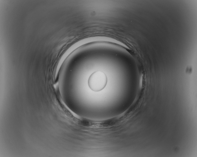 X0000111470423200907131523