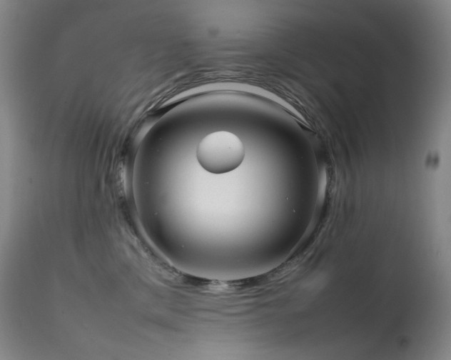 X0000111470425200907131523