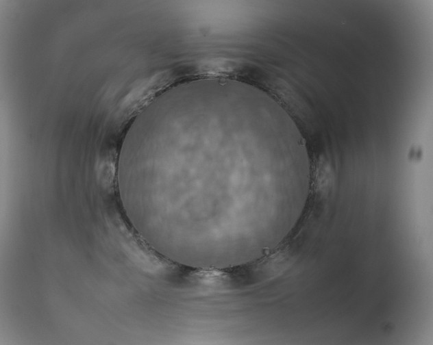 X0000111470427200907131523