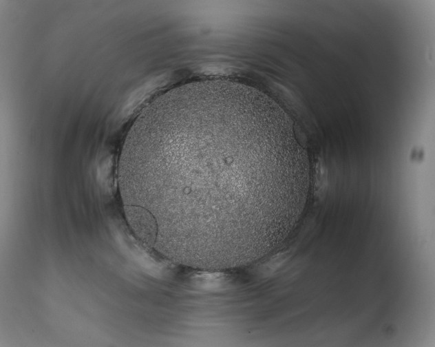 X0000111470428200907131523