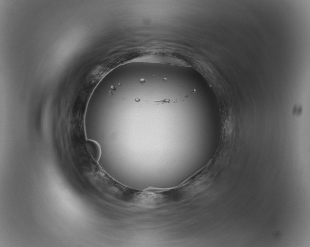 X0000111470429200907131523