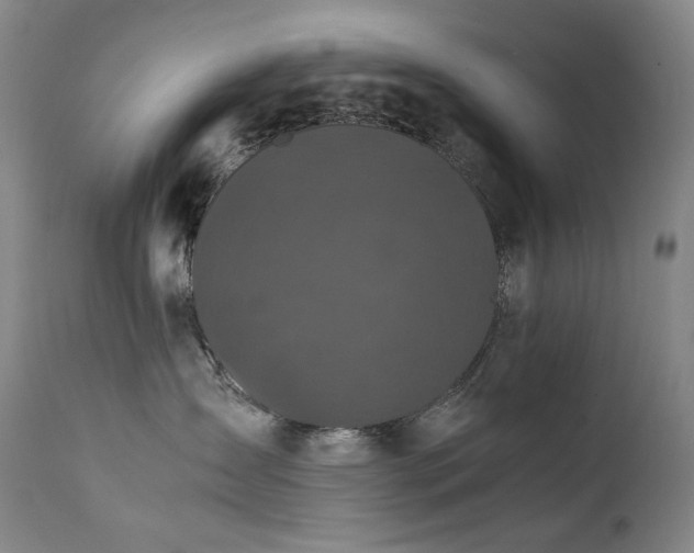 X0000111470431200907131523