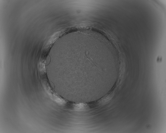 X0000111470432200907131523