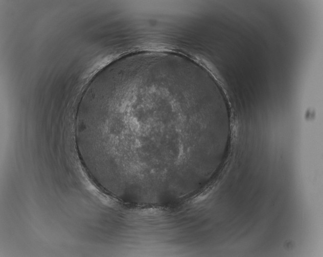 X0000111470433200907131522