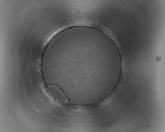 X0000111470434200907131522