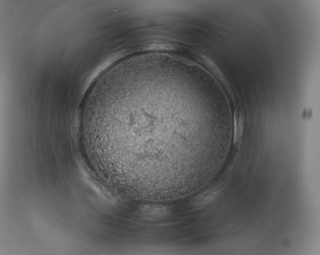 X0000111470435200907131522