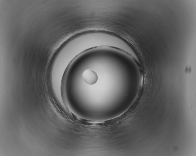 X0000111470436200907131522