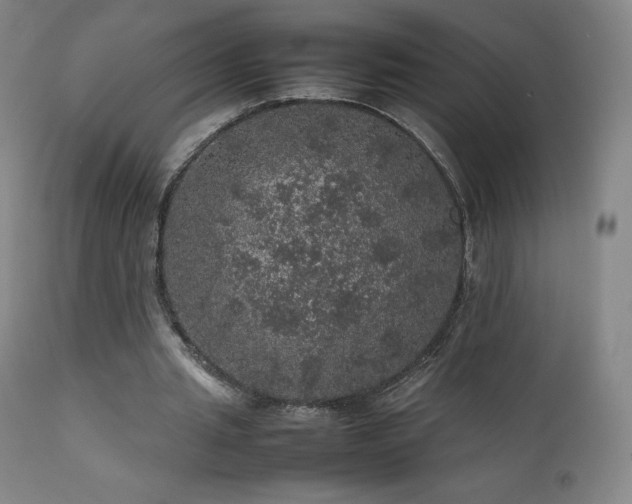 X0000111470437200907131522