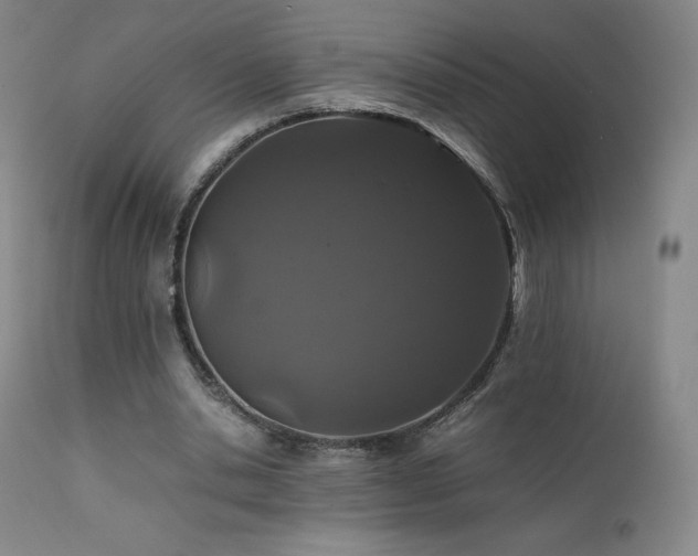 X0000111470438200907131522