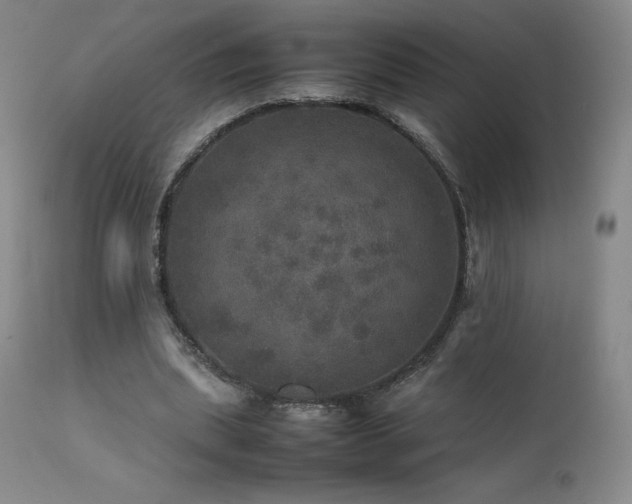 X0000111470439200907131522