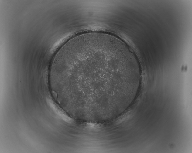 X0000111470442200907131522