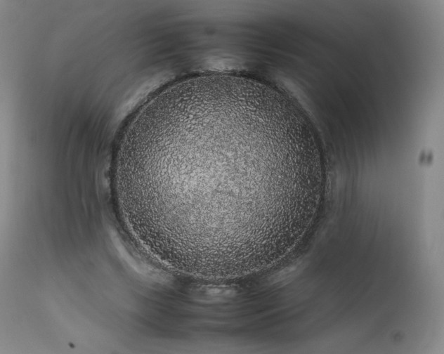 X0000111470443200907131522
