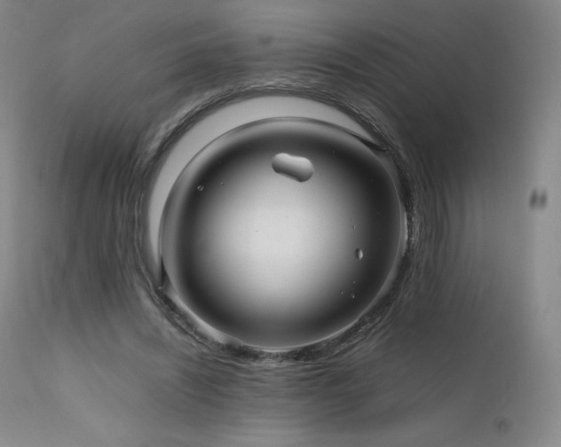 X0000111470444200907131522