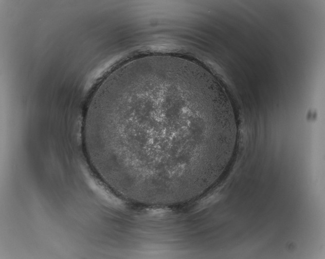X0000111470446200907131522