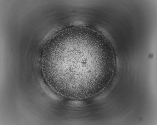 X0000111470449200907131522