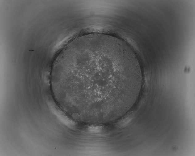 X0000111470450200907131522