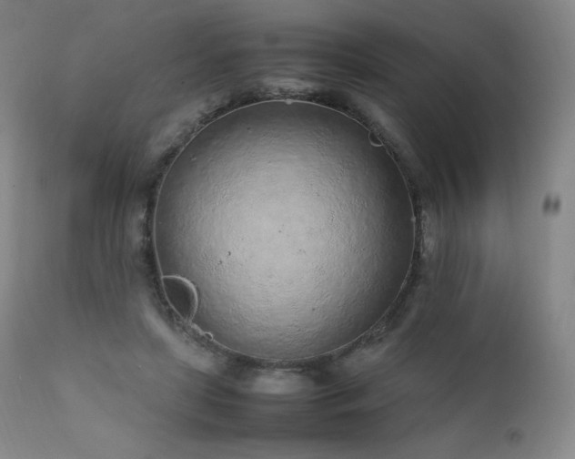 X0000111470451200907131522