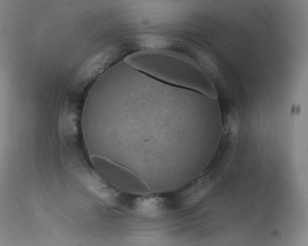 X0000111470452200907131522