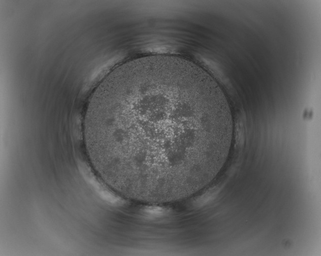 X0000111470453200907131522