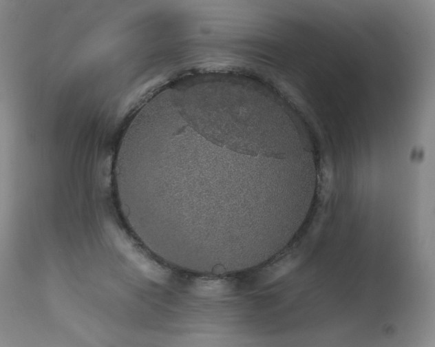 X0000111470454200907131522