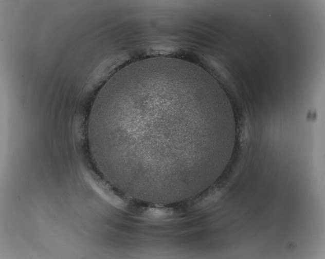 X0000111470455200907131522