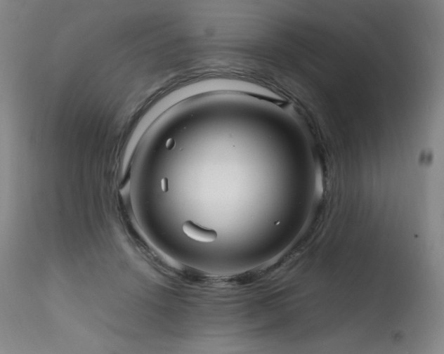 X0000111470456200907131522