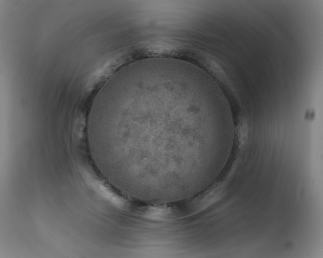 X0000111470458200907131522