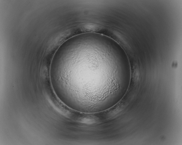 X0000111470459200907131522