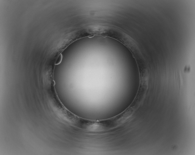 X0000111470460200907131522