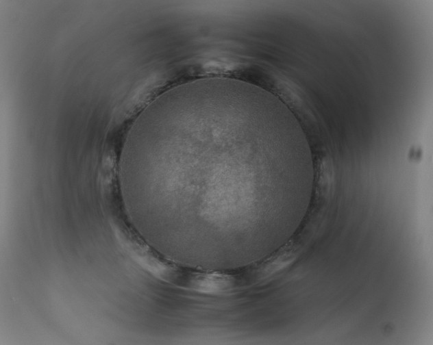 X0000111470463200907131522