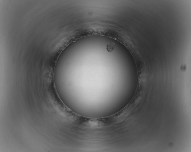 X0000111470464200907131522