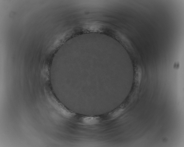 X0000111470465200907131522