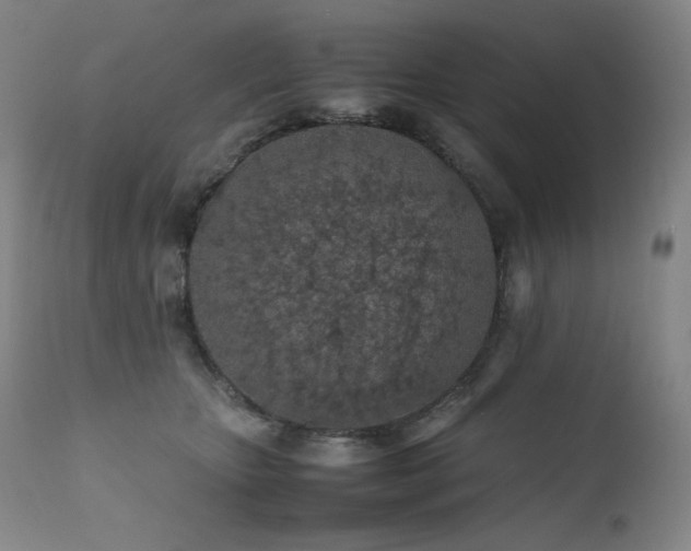 X0000111470467200907131522
