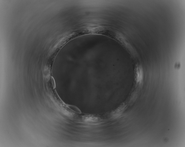 X0000111470471200907131522