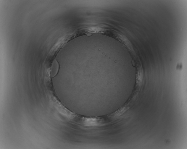 X0000111470473200907131522