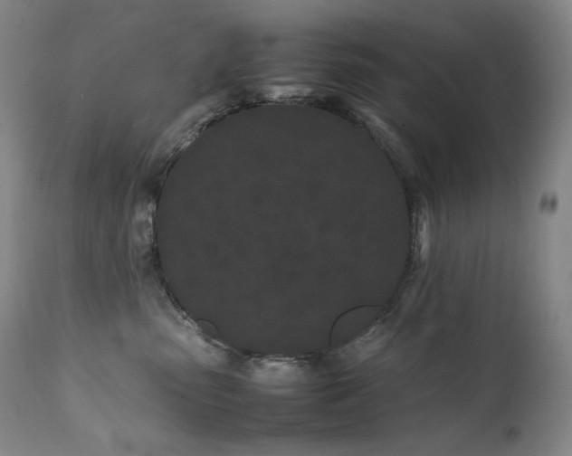 X0000111470475200907131523