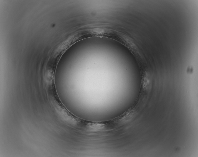 X0000111470476200907131523