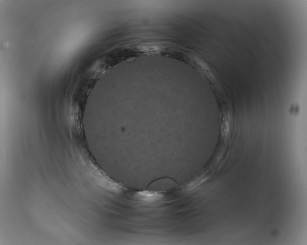X0000111470477200907131523