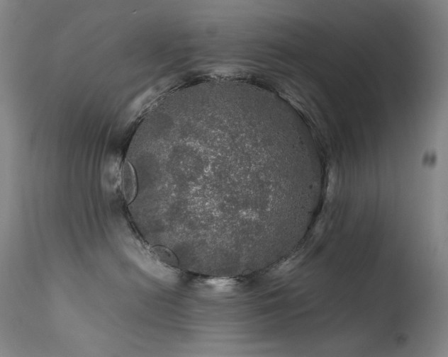 X0000111470478200907131523