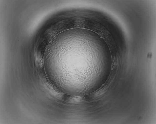 X0000111470479200907131523