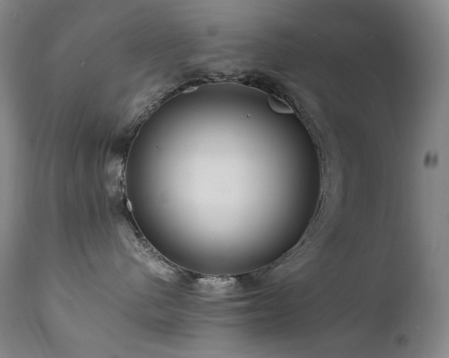 X0000111470480200907131523