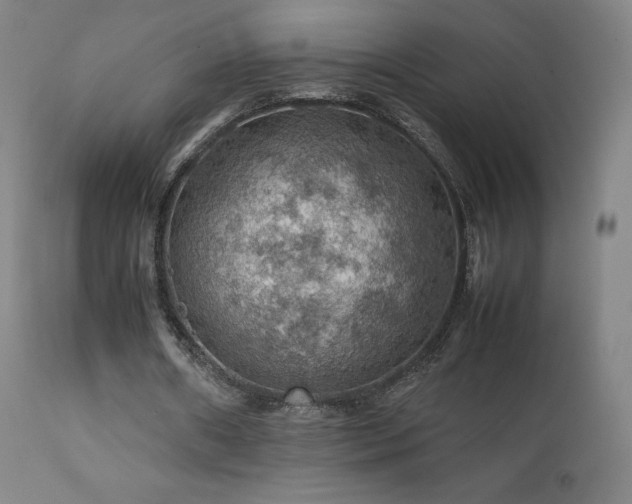 X0000111470482200907131522