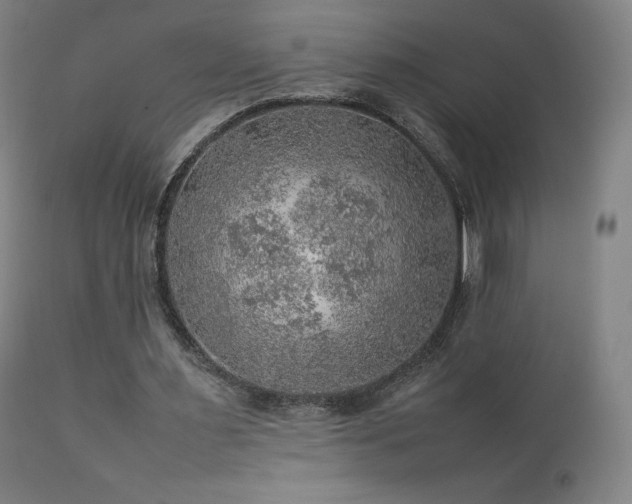 X0000111470483200907131522