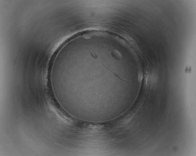 X0000111470484200907131522