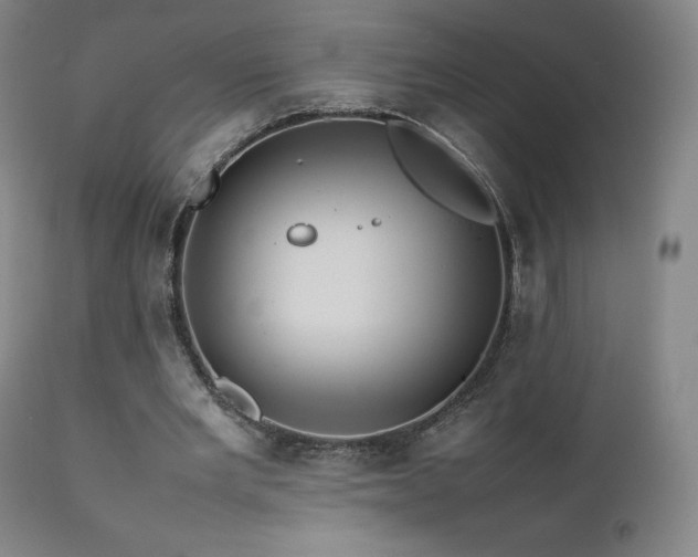 X0000111470485200907131522